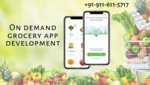 On demand grocery app development